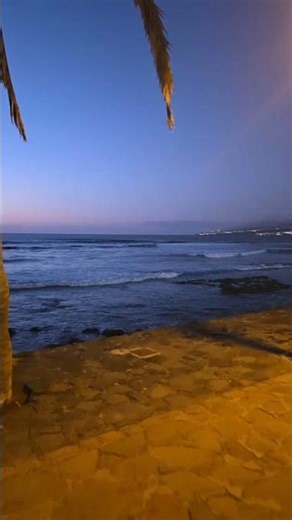 LIVE din Paradisu VeseL T E N E R I F E #Spania #europa