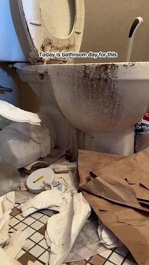 81K views · 1.5K reactions | One of the most satisfying bathroom deep cleans I’ve ever had the pleasure of cleaning ✨ #CleanTok #clean #cleaning #cleanup #room #reels #reelsfb #reelsviral #reelsvideo | Tonya D. Roberts | Facebook