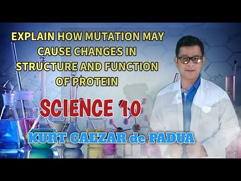 EXPLAIN HOW MUTATION MAY CAUSE CHANGES IN STRUCTURE AND FUNCTION OF PROTEIN