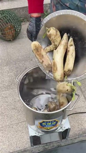 small, multigrain milling machine that even people from southern China have never seen befor