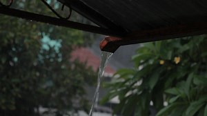 Download Rainwater from gutters for free