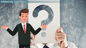 Financial Controls in Organizations - Video | Study.com