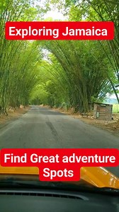https://kareemsquest.com/ | Pure Jamaica