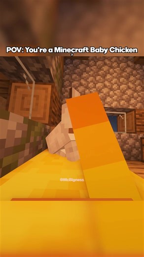 POV: You're a Minecraft Baby Chicken 3 #minecraft #minecraftmemes #fyp #foryoupage #trending
