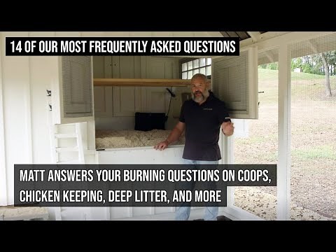 14 Most Frequently Asked Questions about Chickens, Coops, Deep Litter and More! | Carolina Coops