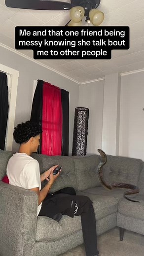 They be so funnn😂😂😂😂😂😂🐍