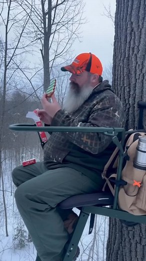 Christmas Tree Stand Saga! (Bear with me) #christmastreecake #bear #deer #snack | The Bicknell Bunch