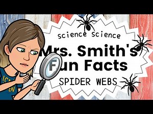 Spider Webs: Mrs. Smith's Fun Science Facts for Kids Elementary Science