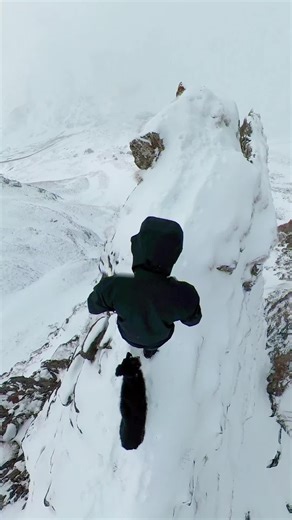 Todo es cuestión de perspectiva 🏔️❄️🐾 #montaña #nieve #adrenalina #aventura #pyrenees