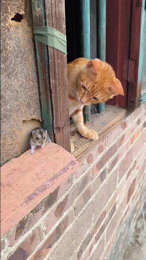 A Few Moments Later #shorts