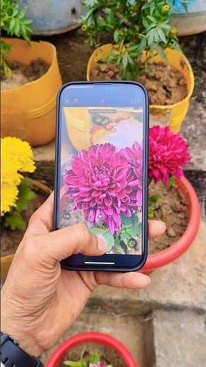 iPhone 15⚡Camera Test📸#iphone15 #iphone14 #iphone13 #iphone16 #iphone17 #iphone18 #iphone15pro #tec