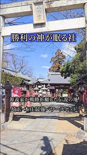 【埼玉の絶景】源氏ゆかりの勝利の神。静寂と水音に癒やされる極上パワースポット✨ #shorts