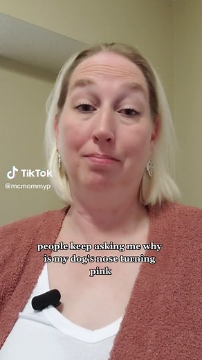 Understanding Why Dogs Noses Change Color