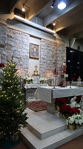 2.8K views · 601 reactions | Fr. Cesar blessing our Nativity scene this Christmas Eve! | National Shrine Grotto of Our Lady of Lourdes | Facebook