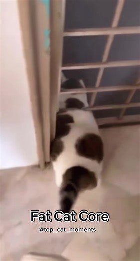 Exploring the Charm of Fat Cat Core