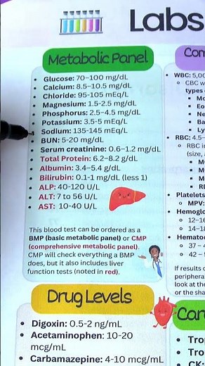BMP vs CMP Metabolic Panel | Nursing Lab Values for NCLEX in Less Than 45 Seconds #shorts