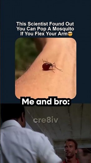 That Is Actually The Best Technique