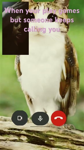 When you play games but someone keeps calling you 💩🏠🇲🇱