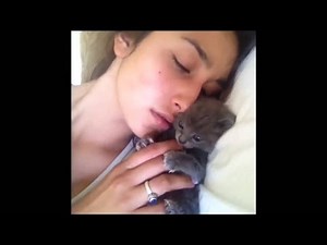 Vicces Macska Videók - Macskák