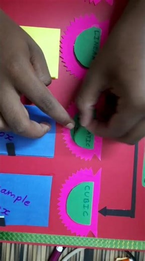 Maths Project on polynomials