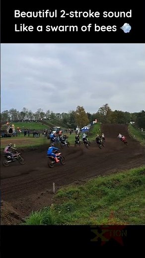 125cc 2-Stroke Class. Like A Bees
