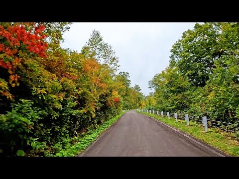 Driving along beautiful mountain roads in Shiga Kogen Nagano Prefecture in autumn