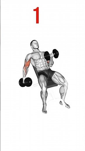 7 Exercises That Build Muscle Fast 💪🔥