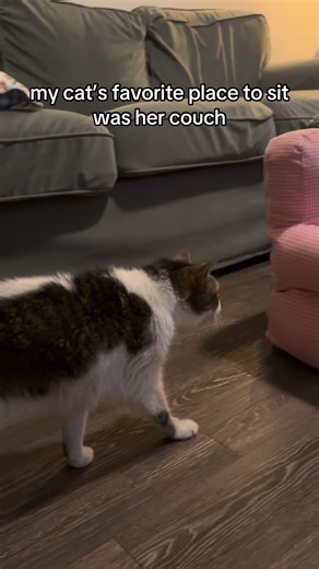 768K views · 46K reactions | FULL STORY 懶 A little over two weeks...