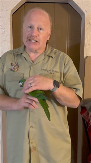 15K views · 501 reactions | Update: Mini Mac now at her new...