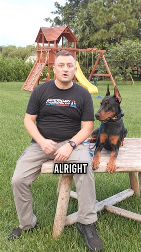 144K views · 2.2K reactions | Breed Facts of the Doberman Pinscher #doberman #dobermanpinscher #doglover #dogmom #dog #dogs #puppy #fyp | American Standard Dog Training | Facebook