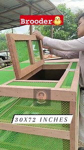 Brooding Pen #everyone #reels #fbpost | Chaga Vlog