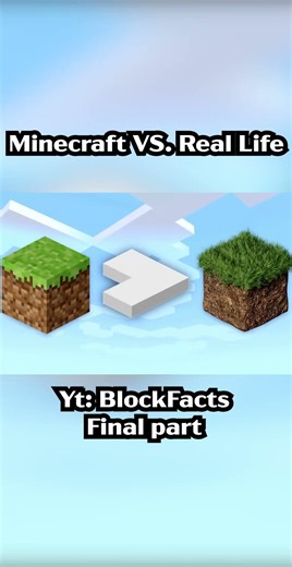 Minecraft VS. Real life final part Yt: Blockfacts #minecraft #minecraftmemes #funny