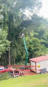 Helping out my Buddy #friends #fyp #foryou #ytshorts #youtubeshorts #work #cuttingtrees #tiktok #fun