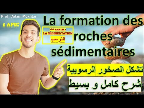La formation des roches sédimentaires (3ème partie: La sédimentation)- 1ère année international