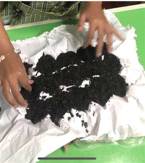 Teaching multiplication intigrated with plant By arranging seeds into arrays (egg tray) to represent multiplication facts. This helps them visualize multiplication as repeated addition and understand the concept of rows, columns and how plants grow. #PlantingArray #interactiveactivities #Multiplication