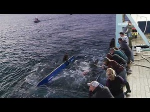 OCEARCH video: Tagging Mary Lee