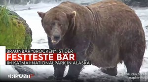 🐻 Dieser Bär hat's fett drauf! Er wiegt fast eine halbe Tonne und wurde zum Sieger der legendären Fette-Bären-Woche in Alaska gekürt: Brocken ist nun offiziell der dickste Bär im Katmai-Nationalpark! 💤 Warum sein Winterspeck weltweit gefeiert wird und was hinter dem Voting steckt, siehst du im Video! 👇 | Brisant