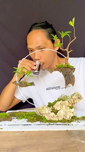 😍 This is very beautiful. Creative and unique bonsai inspiration. Floating bonsai landscape. #盆栽 #inspiration #bonsai #landscape #creative | Amriyanto Arif ID