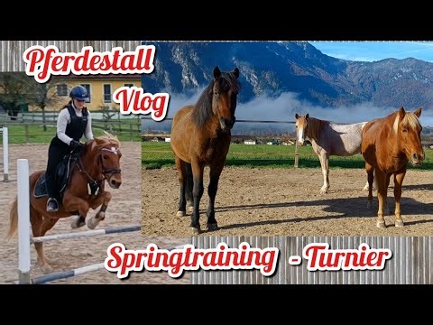 FMA - Pferde Vlog 🐴 Spring - Trainings 🏅 Stall - Turnier 🐴 Stallalltag Offenstall mit Paddocktrail 🌿
