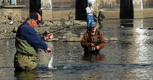 Wearing waders: 5 tips to keep you safe