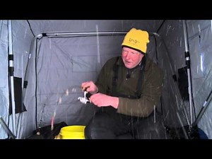 Fish Ed 038 Mid Season Red Lake Walleyes