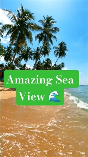 Goa Beach Paradise 🌴 | Amazing Beach Views in Goa ⛱️ | Travel Vlog 2026