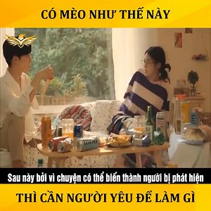 4.3M views · 153K reactions | REVIEW FILM: QUÁN BAR MÈO Có mèo như thế này thì cần gì người yêu #review_film #film_hot | 373.K Review | Facebook