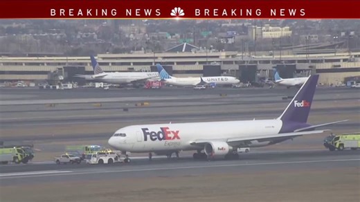 FedEx plane makes emergency landing after bird strike