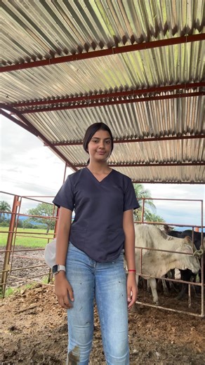 Veterinary Student Insights on Vaccine Medicine