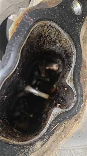 Valve flutter, how'd that get there?