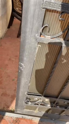 "Adorable German Shepherd Puppies: Enjoyable Video Moments! 🐶🎥" | German Shepherd Community