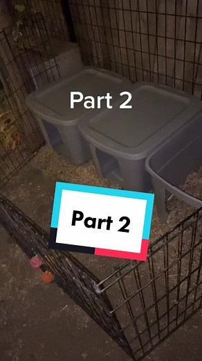 Constructing DIY Nesting Boxes for Ducks and Chickens