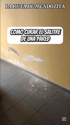 Como curar el salitre de una pared
