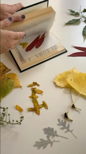 Preserve the Vibrant Fall Foliage with this DIY Leaf Bowl! 🍁 #diy #craft